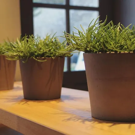 Corps De Ferme Restaure Proche Barbizon * Saint-Martin-en-Biere